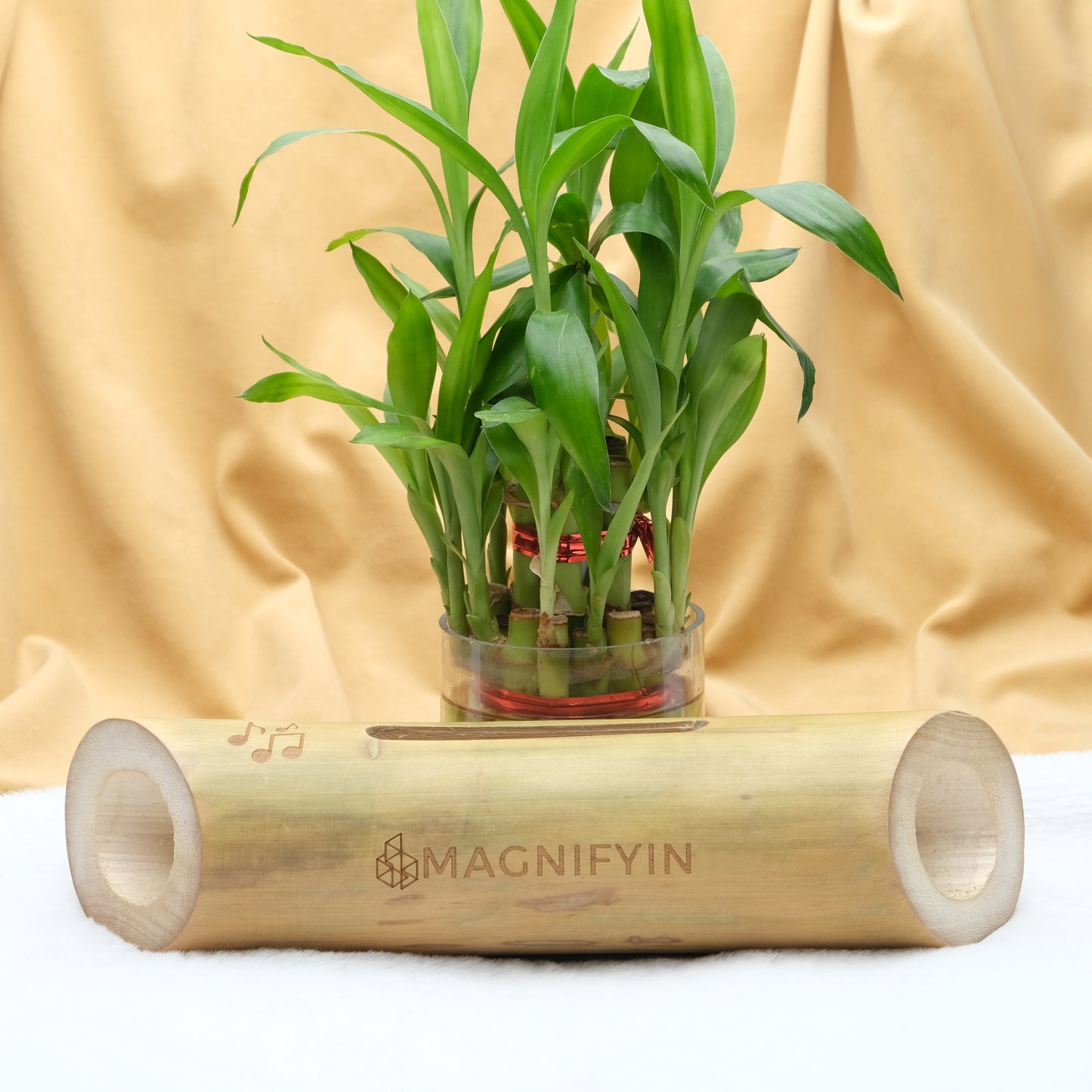 Magnifyin's Acoustic Handmade Bamboo Speaker | Speaker For Phone