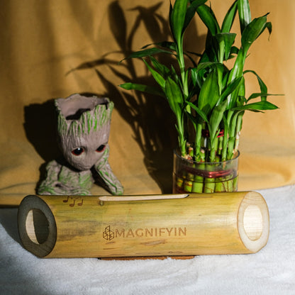 Magnifyin's Acoustic Handmade Bamboo Speaker | Speaker For Phone